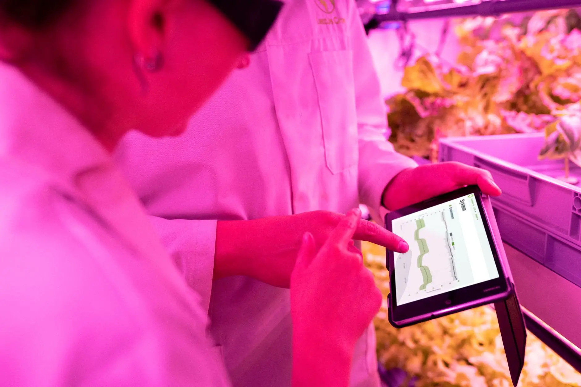石材雕刻机与木工雕刻机加工精度差异及选型要点